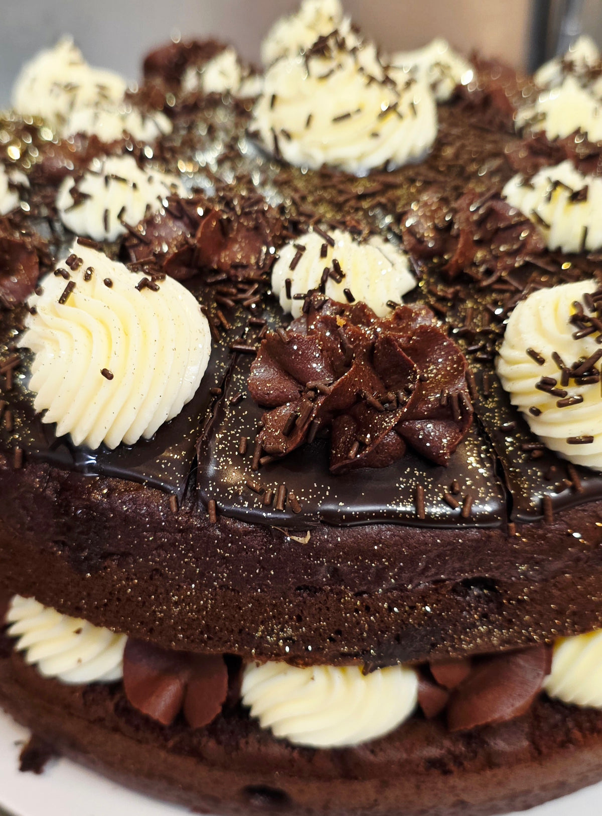 Chocolate & Mascarpone Cake